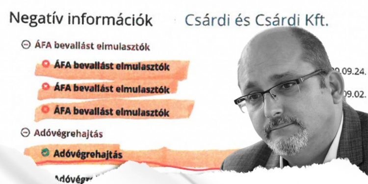 Saját cégügyeivel sem tud megbirkózni, mégis a Belváros, Várnegyed, Belső-Ferencváros, valamint Józsefváros polgárait képviselné Csárdi Antal